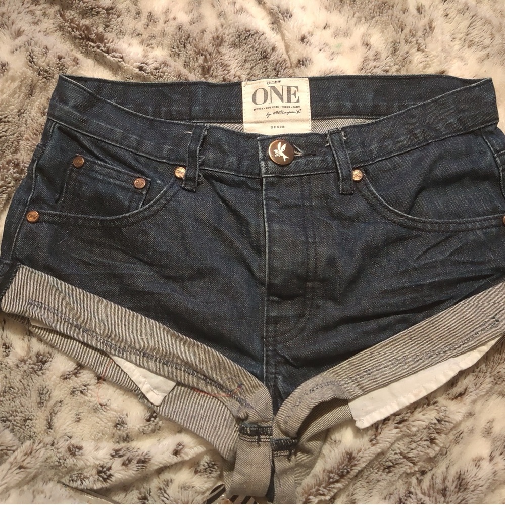 One teaspoon bandits shorts